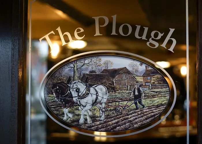 The Plough 4*